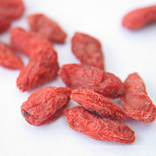 Eherebe getrocknete Goji-Beeren Masse meistverkaufte Goji-Beere